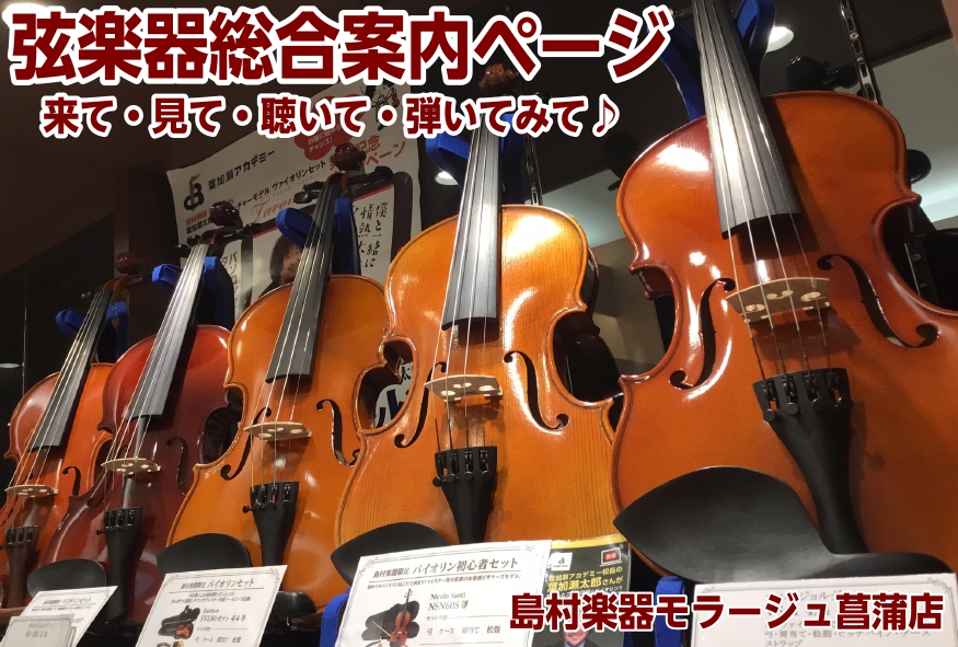 【弦楽器総合】あなたのバイオリンライフを徹底サポート致します！皆様のご来店を心よりお待ちしております…