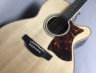 【ギター入荷速報！】Takamine (タカミネ) DMP50S (NAT) WEB購入できます！