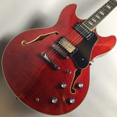 【ギター入荷速報！】Sire (サイアー) Larry Carlton H7 STR (See Through Red) WEB購入できます！