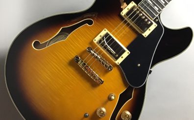 【ギター入荷速報！】Ibanez JSM10 VYS ジョンスコフィールドモデル エレキギター WEB購入できます！