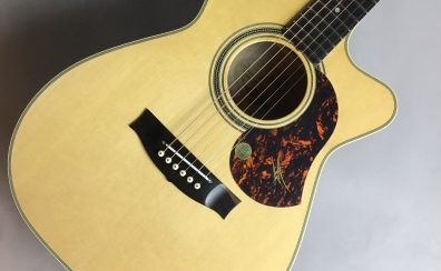 【ギター入荷速報！】MATON (メイトン) EBG808CTE Tommy Emmanuel Signature WEB購入できます！