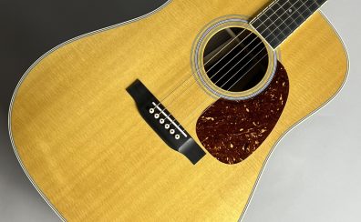 【ギター入荷速報！】Martin (マーチン) D-35 Standard WEB購入できます！