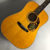 【ギター入荷速報！】Cort (コルト) EARTH300V WEB購入できます！