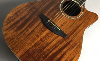 【ギター入荷速報！】Applause by Ovation (アプローズバイオベーション) Standard Exotic AB24IIP-KOA Mid Depth Natural WEB購入できます！