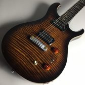 【ギター入荷速報！】Paul Reed Smith (PRS) SE Paul’s Guitar WEB購入できます！