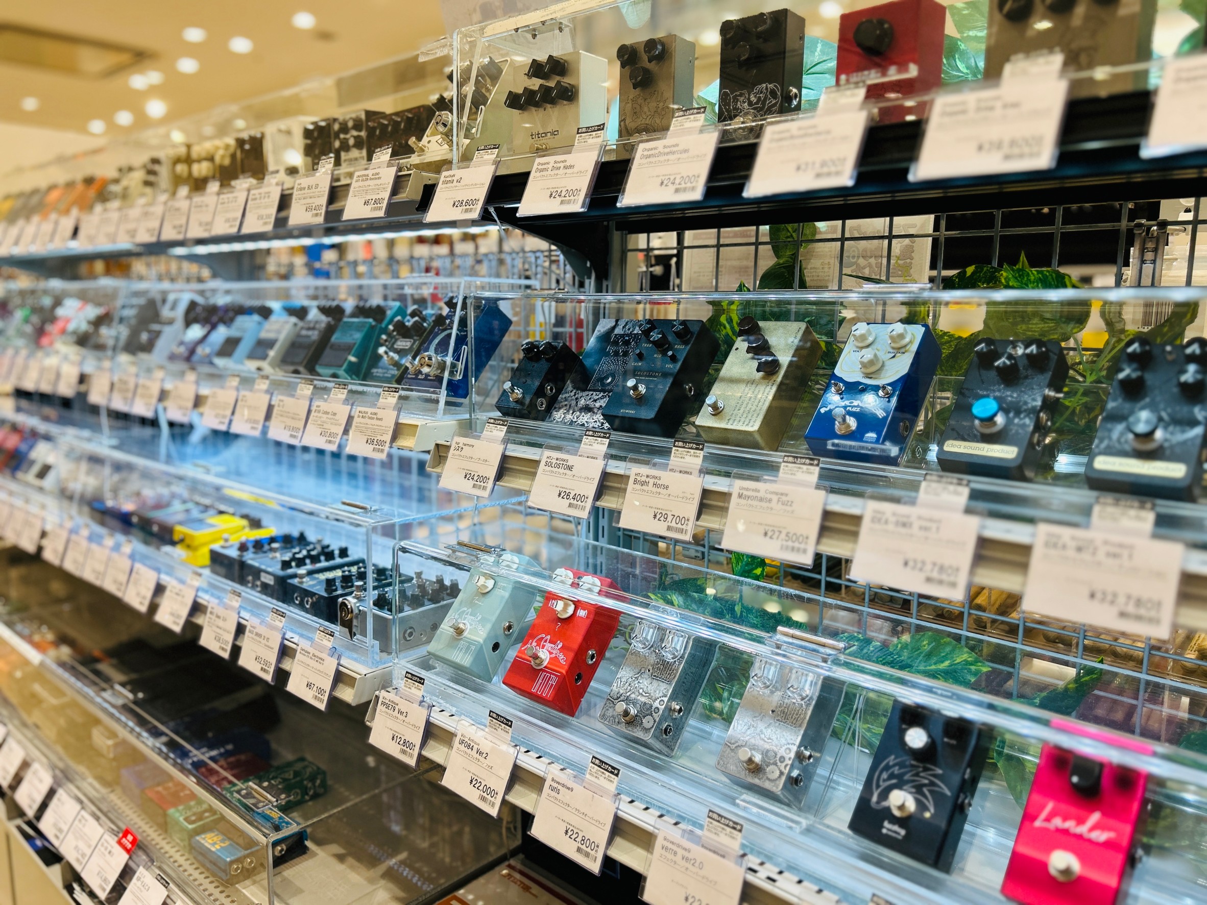 店舗イメージ