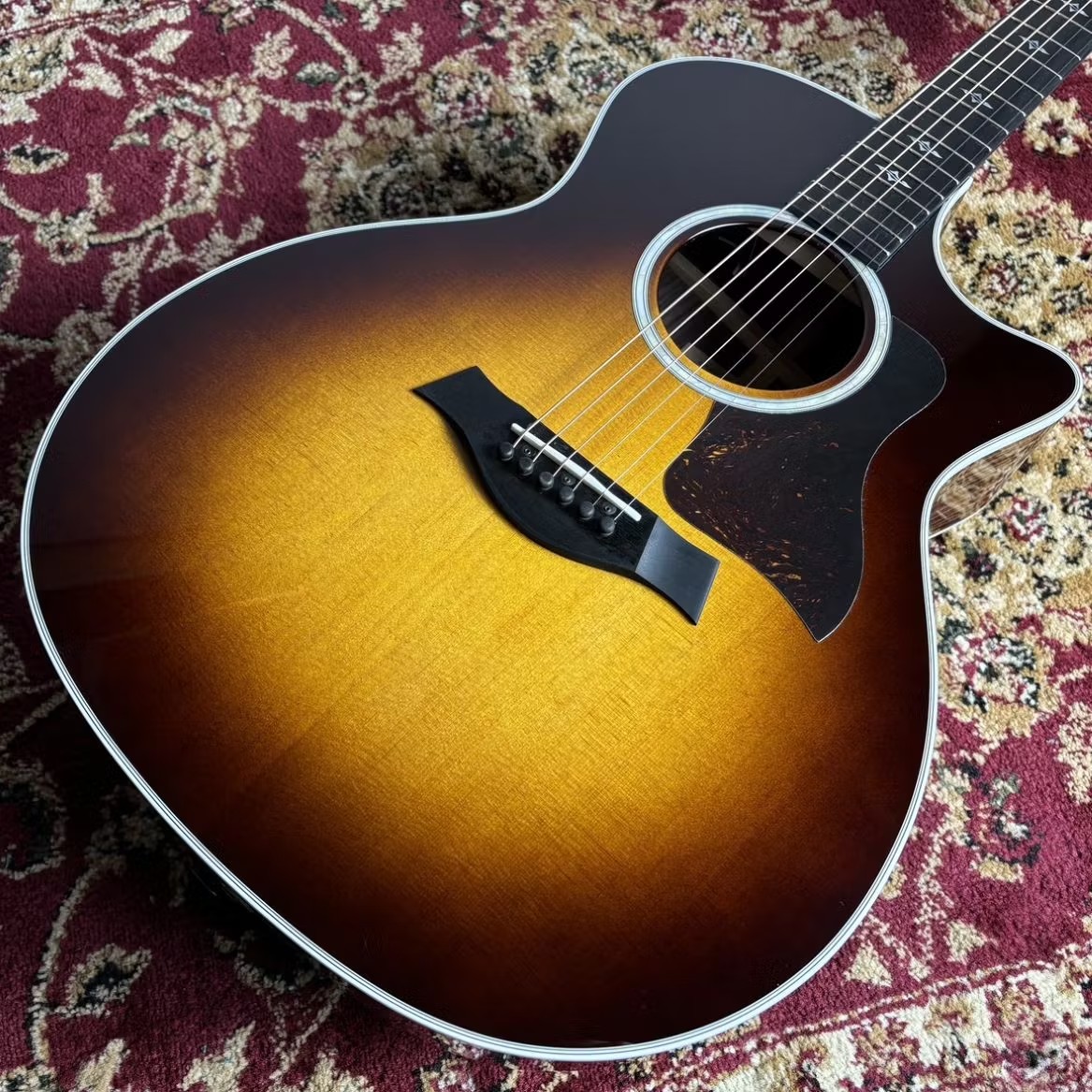 Taylor414ce