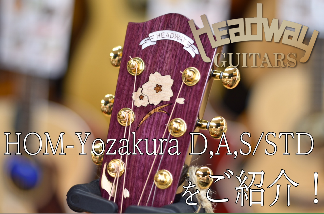【桜アコギ】HEADWAY HOM-Yozakura D,A,S/STD 入荷致しました！