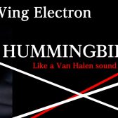 島村楽器立川店限定　Little Wing Electron【HUMMINGBIRD C212】店頭販売について