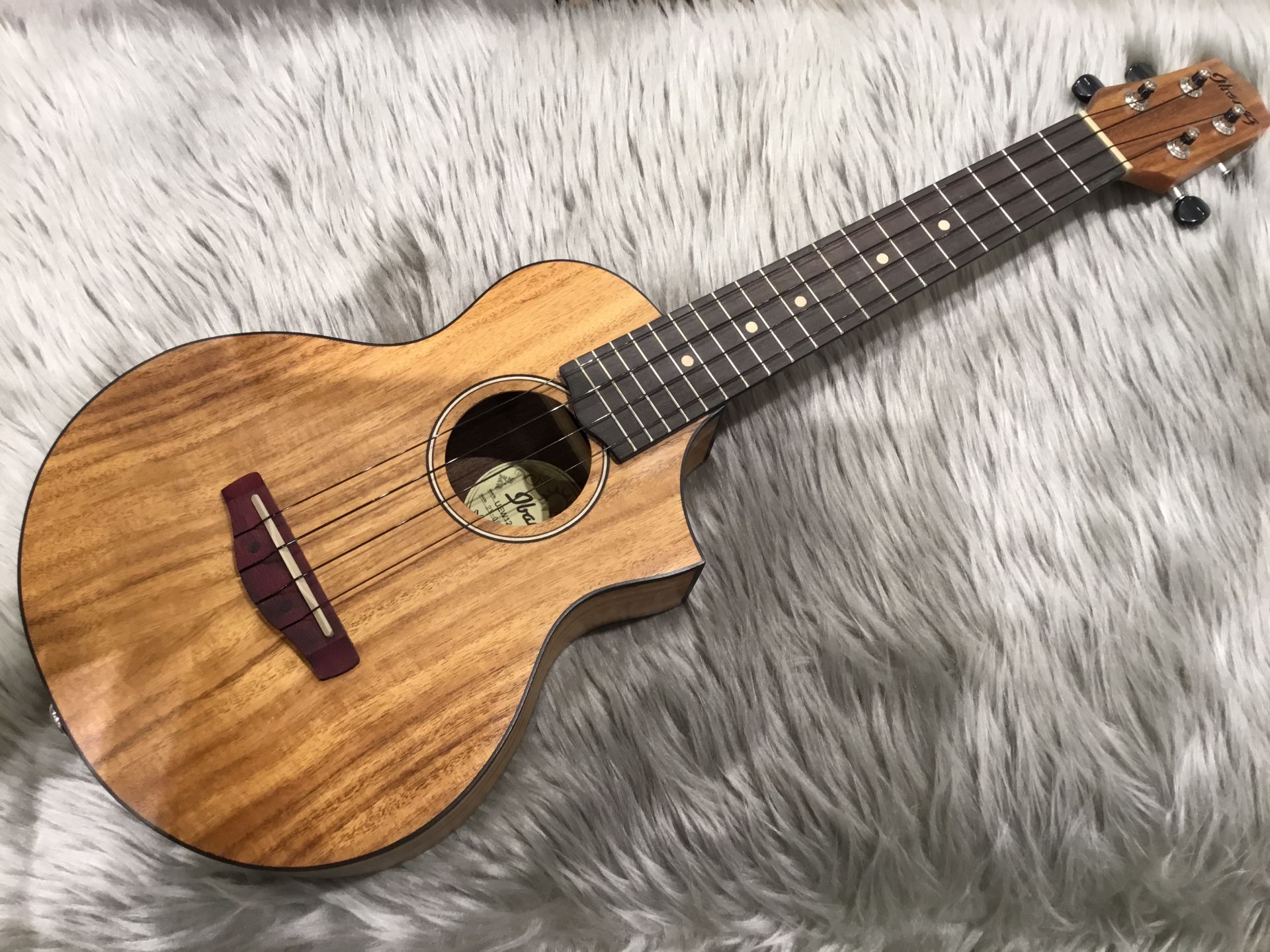 【ウクレレ入荷情報】Ibanez UEW12ACE入荷しました！