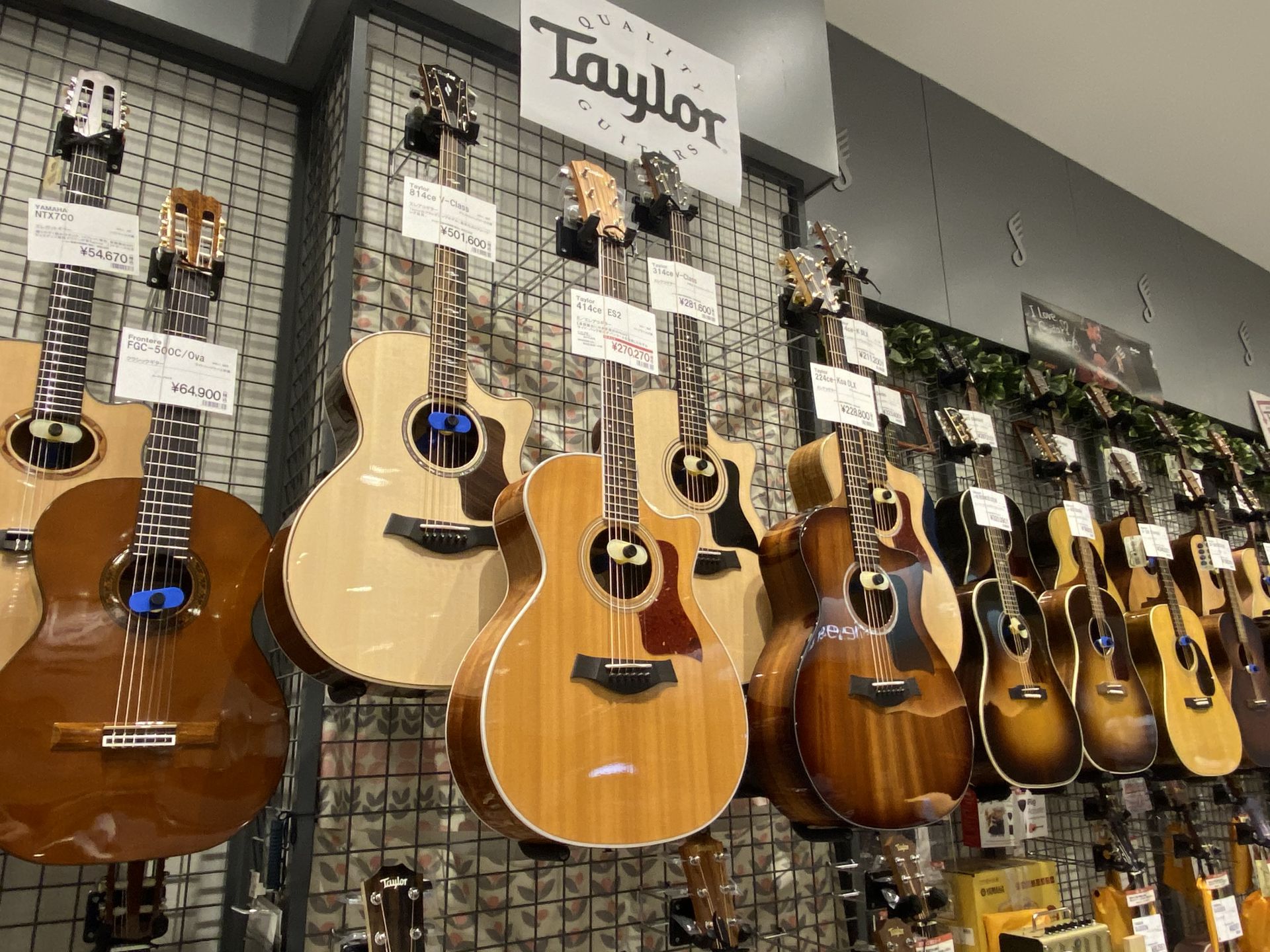 【アコースティックギター】Taylor選ぶなら当店にて！展示強化中です！