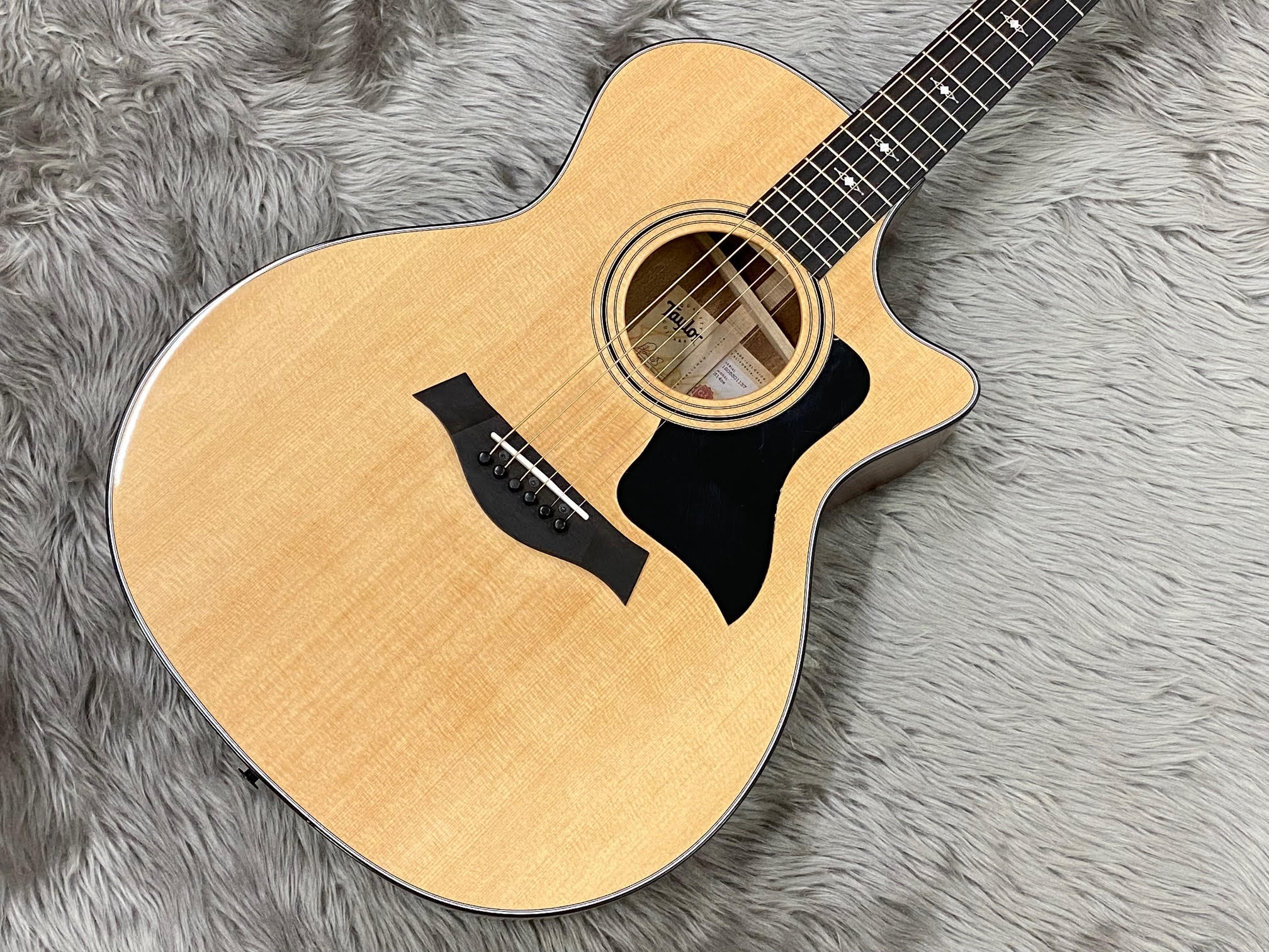 エレアコギターTaylor 314ce V-Class