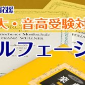 音楽大学・音楽高校受験を考えている方へ【群馬・高崎、前橋エリア】でソルフェージュレッスン