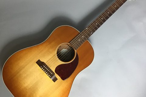 カテゴリー Span ギター ベース ウクレレ Span イオンモール天童店 店舗情報 島村楽器