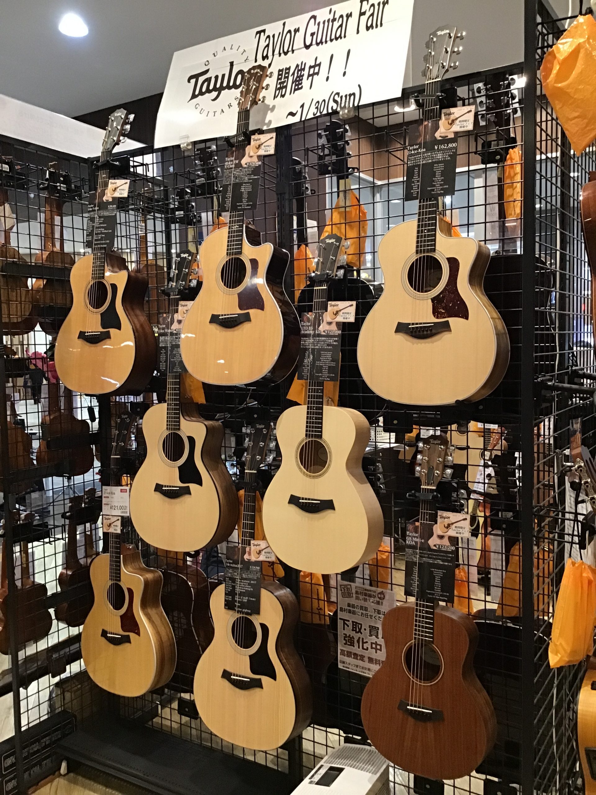 Taylor Guitars Fair 開催中！！