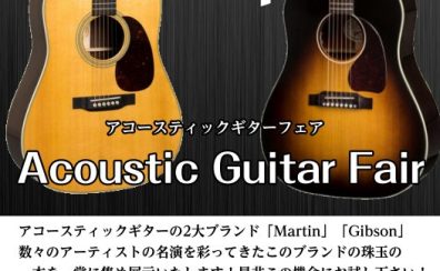 Martin＆Gibson Fair！！ In イオンモール天童