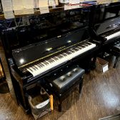 【アコースティックピアノ情報】🎹