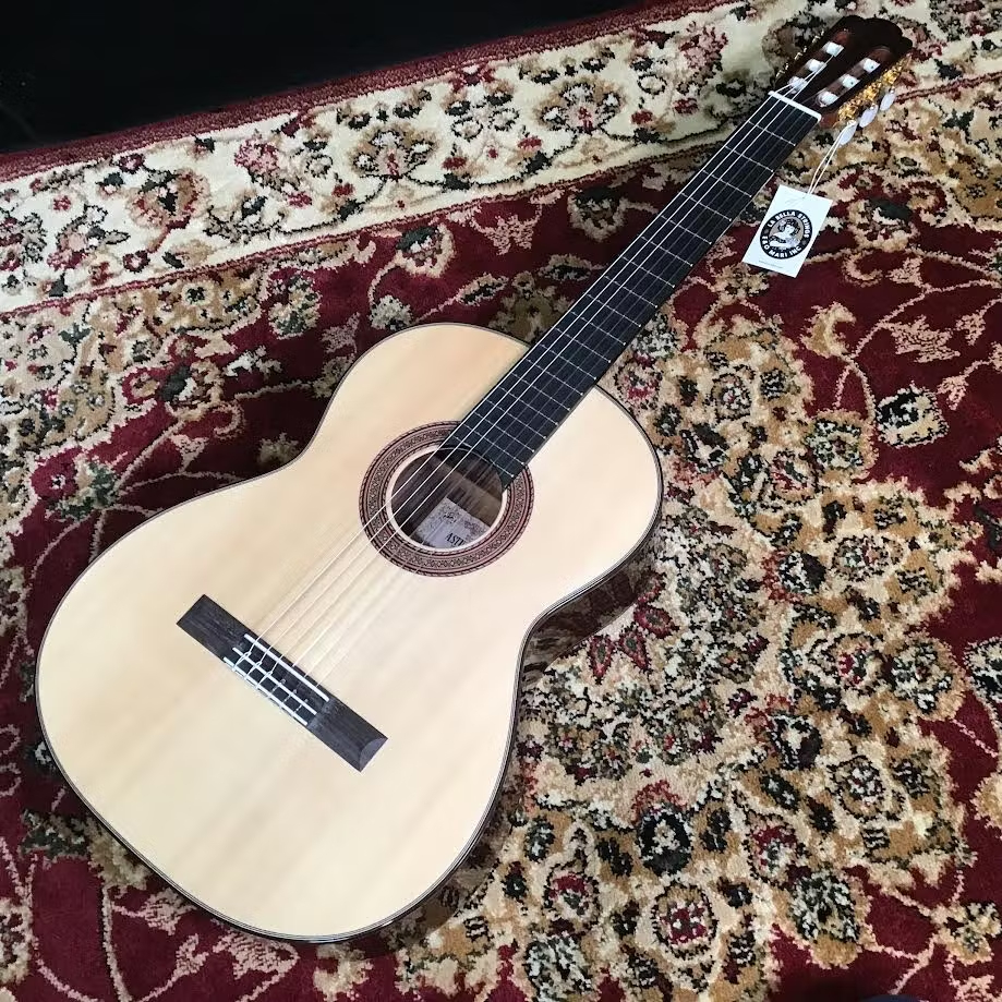 ASTURIASTSUJI S-1/S/SM 650