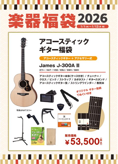 JamesJ-300AⅡセット　カラー：NAT/VSB/EBU/SEH/SMH