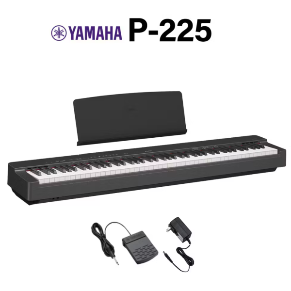 【P-225】￥58,200(税込)<br />
