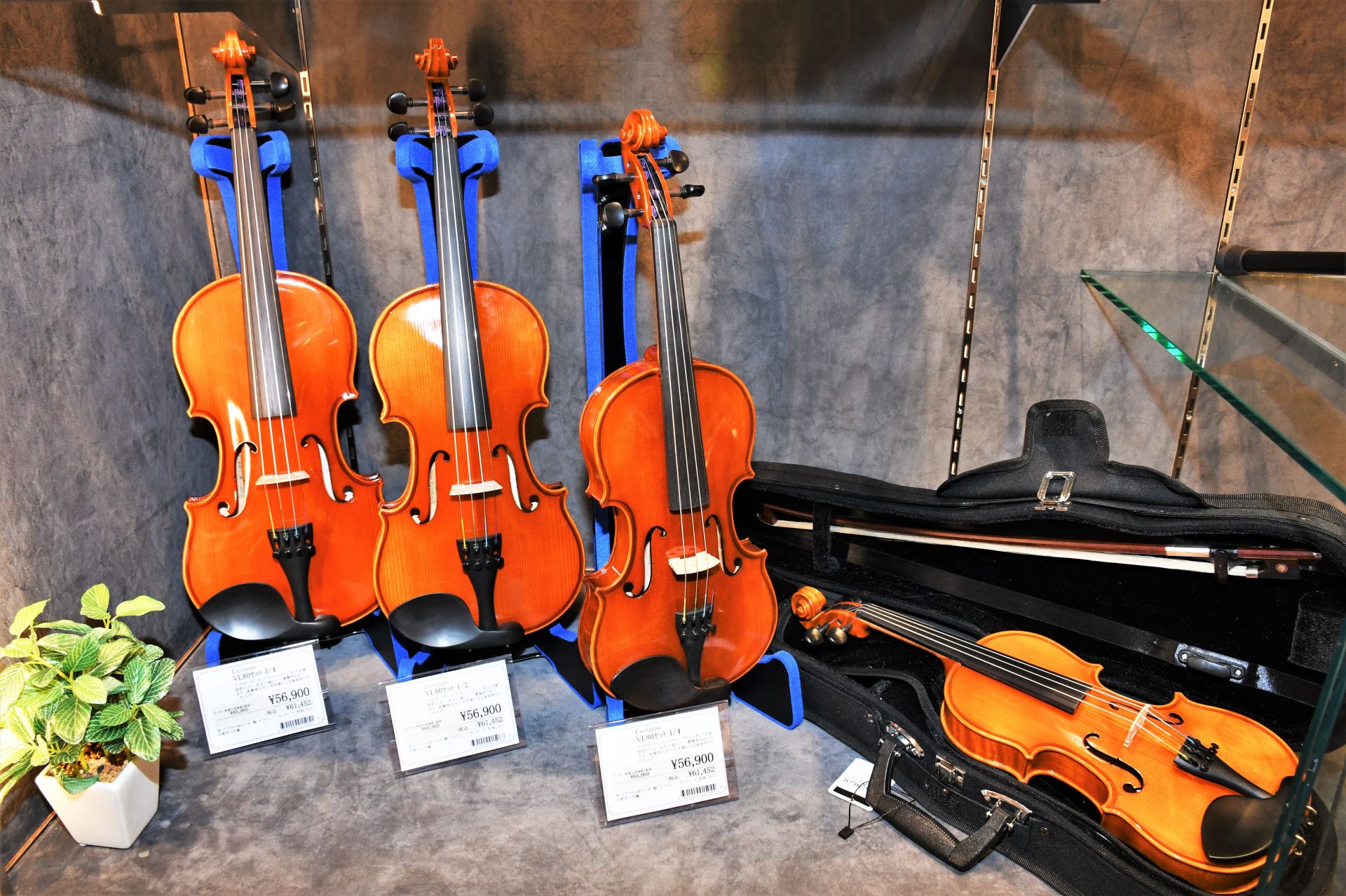 【子供用バイオリン】分数バイオリンの選び方！自分にピッタリサイズのバイオリンを見つけよう！！