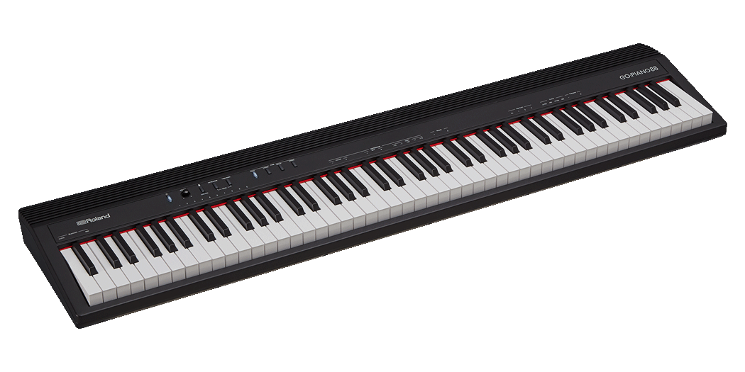 Roland GO-88P