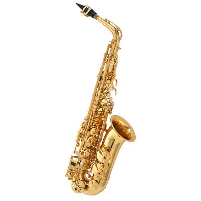 Buffet Crampon<br />
BC8401