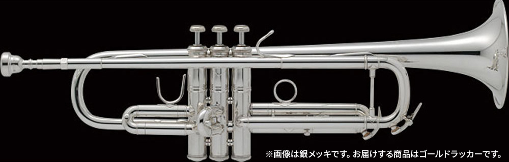 BachVINCENT　MODEL