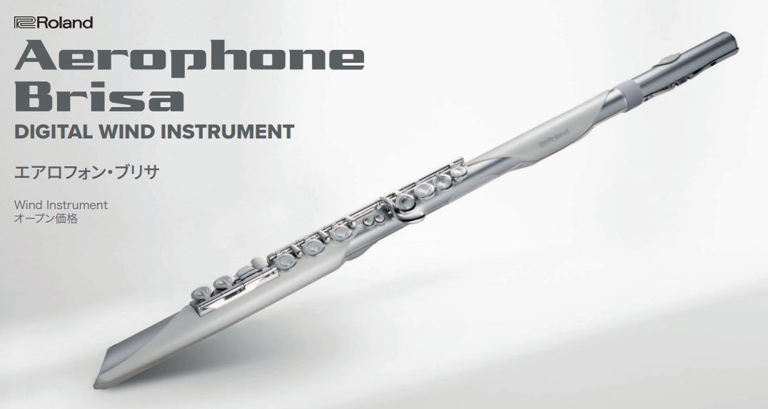 電子管楽器Roland Aerophone Brisa