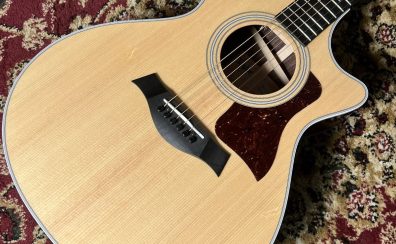 【ららぽーと愛知東郷店】Taylorのアコースティックギターラインナップ!(2025/11/07更新)