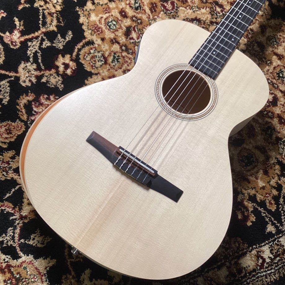 TaylorLTD EG Academy 12e-N