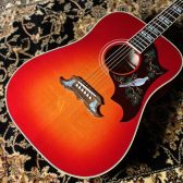 【ららぽーと愛知東郷店】担当者おすすめのアコースティックギターをピックアップ！