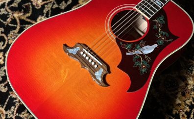 【ららぽーと愛知東郷店】担当者おすすめのアコースティックギターをピックアップ!