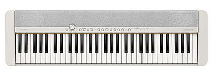 CASIOCT-S1 WE
