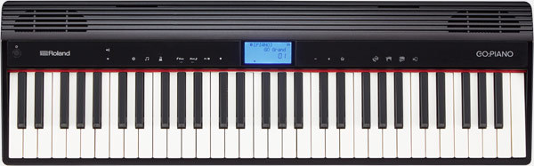 RolandGO-61P