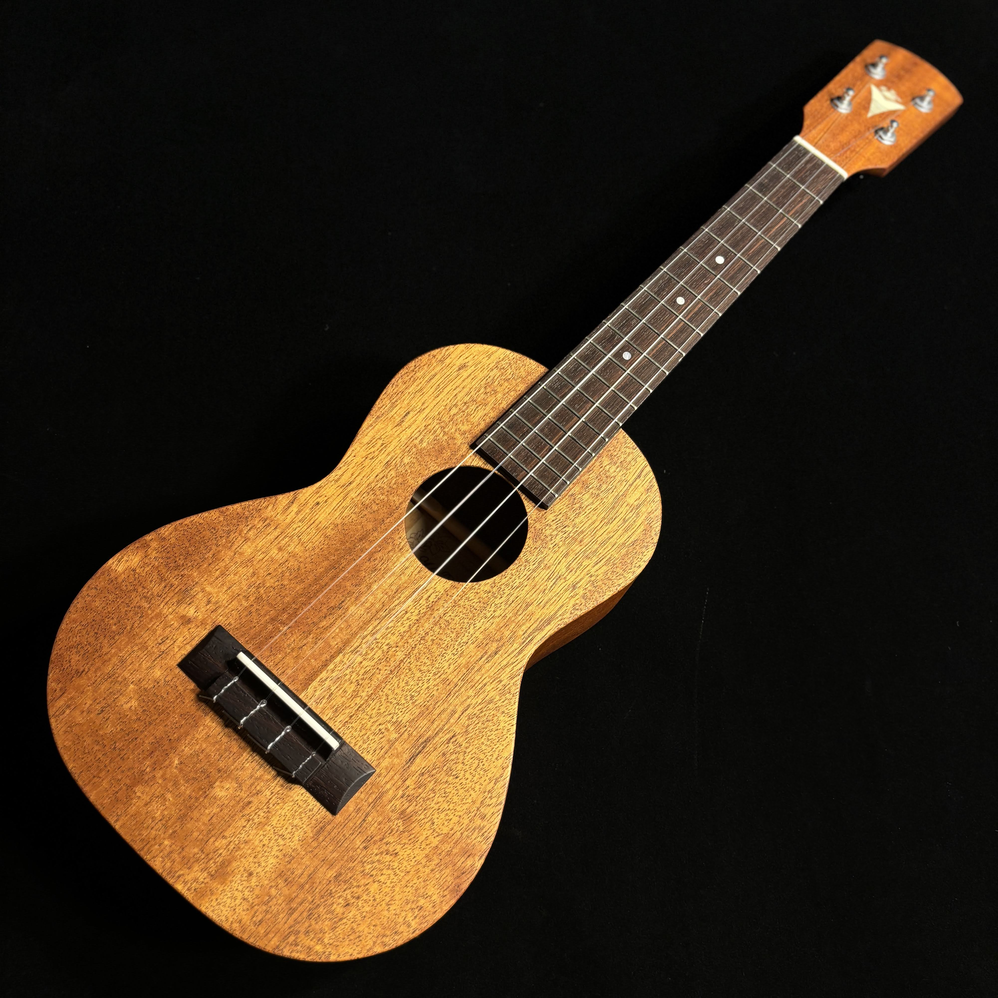 K.YairiUC-M1