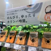 プレゼントにおすすめカリンバをご紹介します！