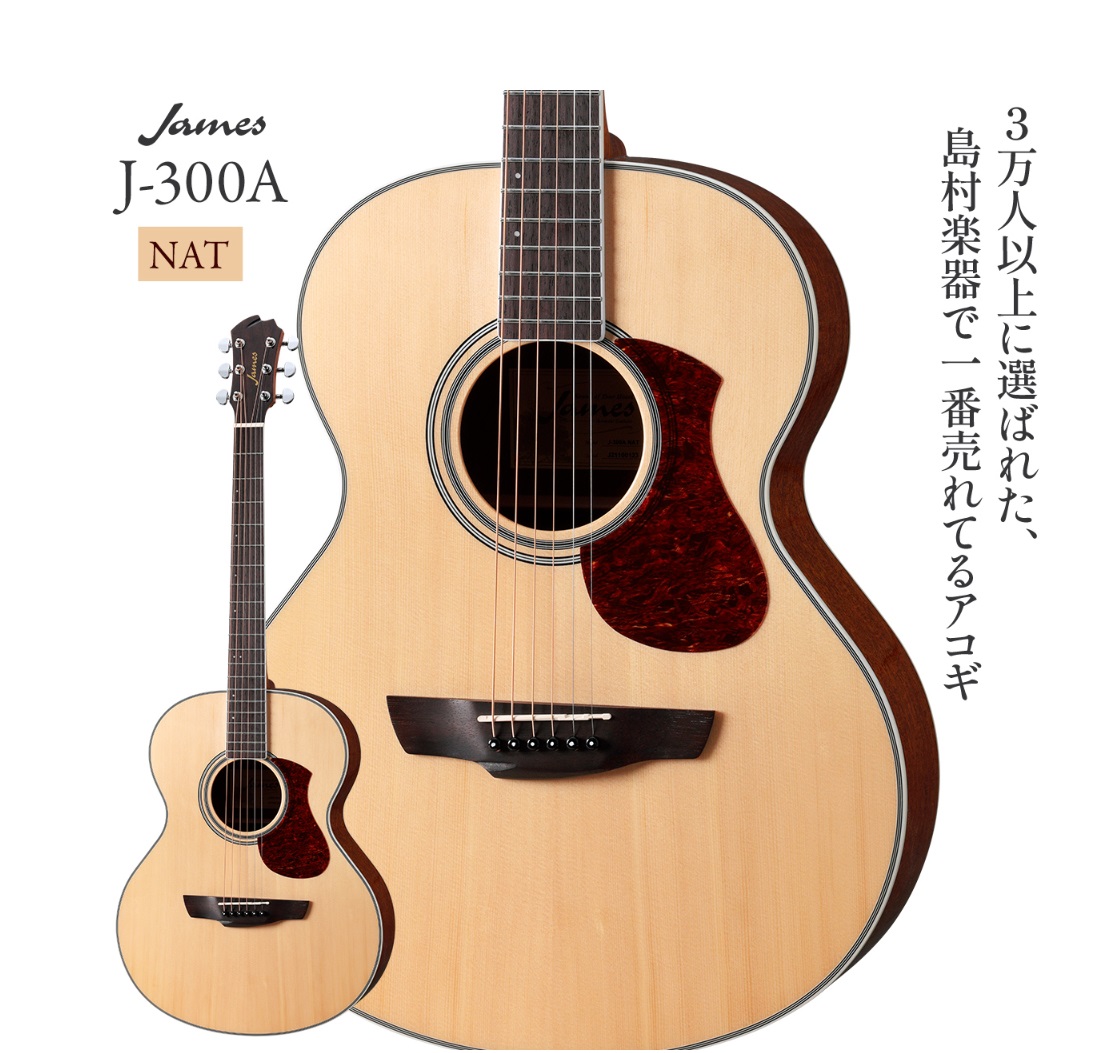 アコースティックギターJames J-300A
