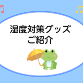 【必見！】ギターの湿度管理対策！