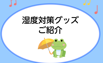 【必見！】ギターの湿度管理対策！