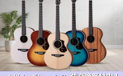 大切な楽器の弦交換、豊川店で行います！