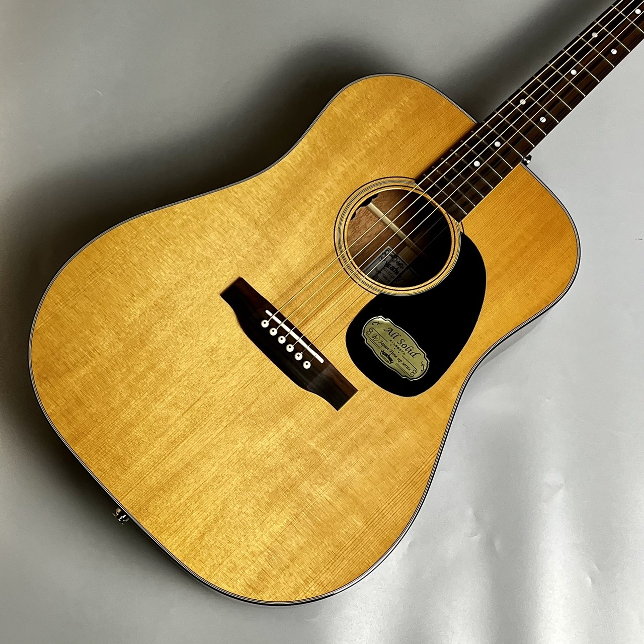 アコースティックギターHD-V115ASE/AGED