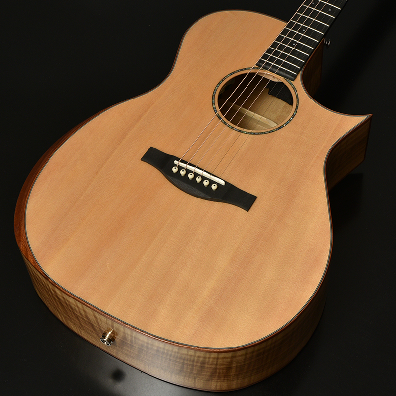 アコースティックギターHGAF-5100SE/FMY-C