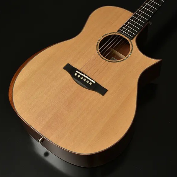 アコースティックギターHGAF-5090SE/C NA