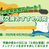 4/26(土)～5/18(日)春の弦交換おすすめ月間！