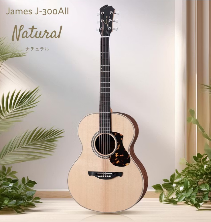 アコースティックギターJames J-300AII