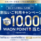イオンマーク対象カードの分割ご利用キャンペーン！抽選でWAON POINTプレゼント！