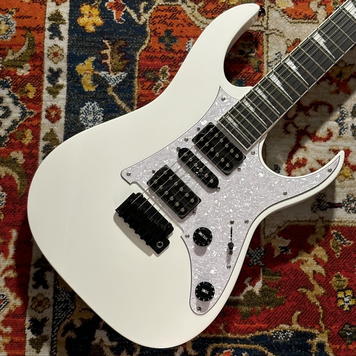 エレキギターRGV250