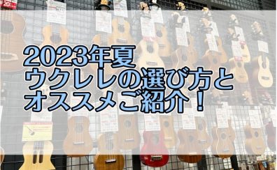 【2023年夏】はじめてのウクレレの選び方とオススメご紹介！