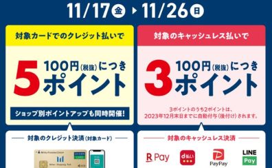 【11月26日まで！】ららぽーと豊洲店にてお得なポイントアップ開催中！